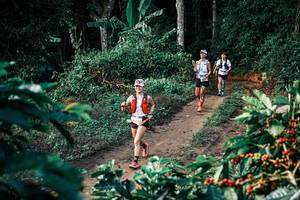 BIB: 
                            <button type="button" onclick="openModal(25814846)" class="btn btn-primary btn-sm float-right btn-popup" data-toggle="modal" data-target=".modal-high-quality">
                        <i class="fas fa-shopping-cart"></i> Add to Cart
                    </button>
                                            <button type="button" onclick="isThisMe(25814846, true)" class="btn btn-success btn-sm float-right btn-popup btn-isme hidden" data-toggle="tooltip" data-placement="bottom" title="นี่คือรูปของคุณใช่ไหม คลิกที่นี่เพื่อเอาเข้าอัลบั้ม">
                        <i class="fas fa-plus"></i> Add to album
                    </button>
                    <button type="button" onclick="isThisMe(25814846, false)" class="btn btn-warning btn-sm float-right btn-popup btn-isnotme hidden">
                        <i class="fas fa-ban"></i> Remove from album
                    </button>